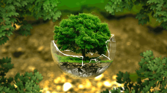 Farmers Solidarity for Agricultural and Social Development | Tempor incididunt ut labore et dolore magna